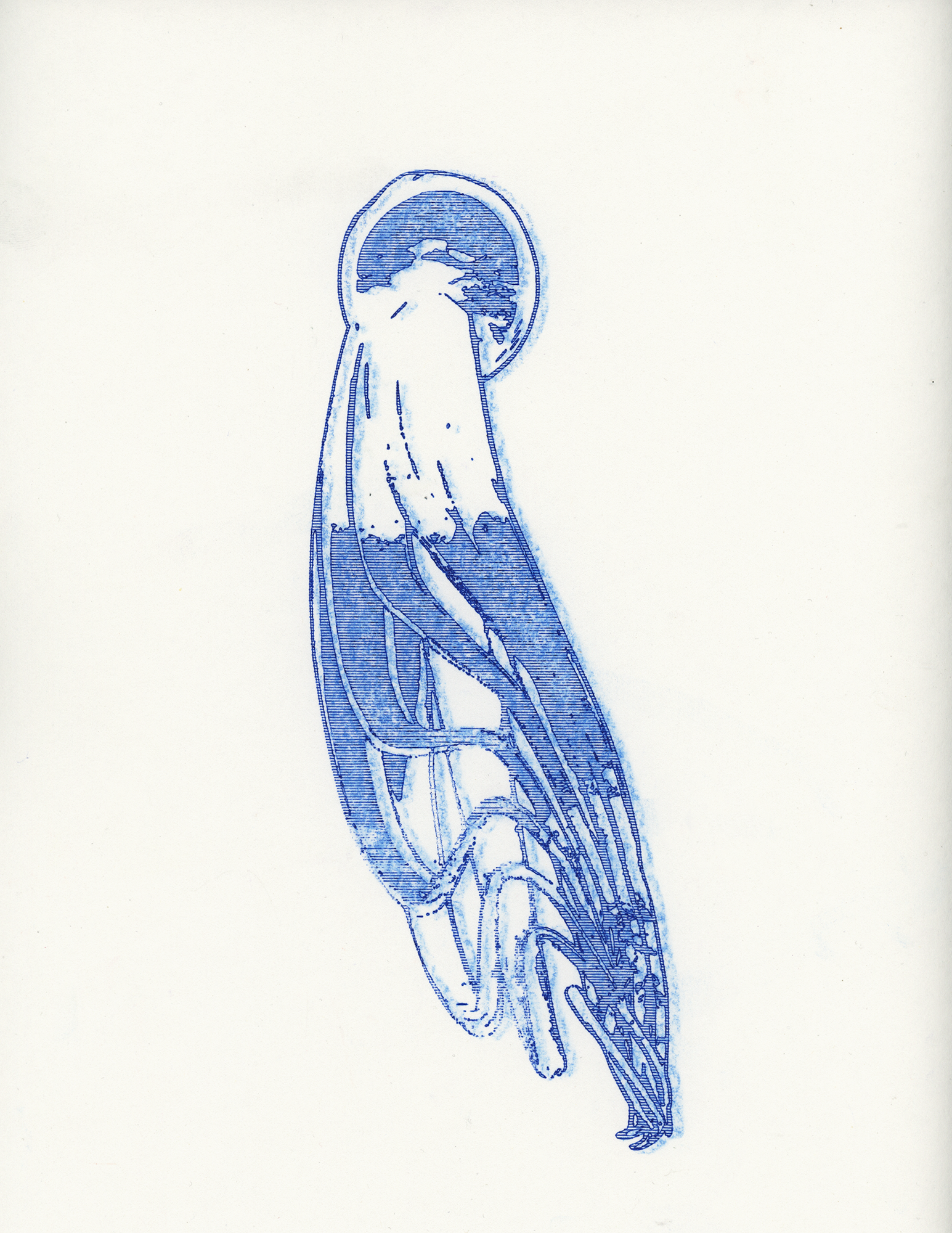 Will Freudenheim, Schema Transmutations 4